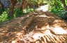Mud tracks