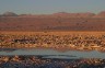 Sunset at the Salar de Atacama