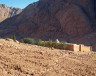 Like little ants: pilgrims on their way to the Catherine Monastery