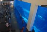 Huge aquarium at Dubai Mall