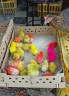 Trendy young chicks at the market