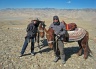 By horse back to the Muztagata glacier