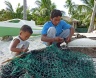 Preparing the bait (sea urchins)