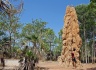 Litchfield Nationalpark: Huge termite mounds