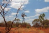 Windr�der treiben die Wasserpumpen im Outback an